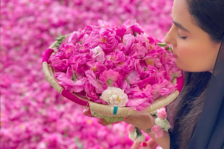 جشنواره گلاب گیری در نظرآباد برگزار می‌شود